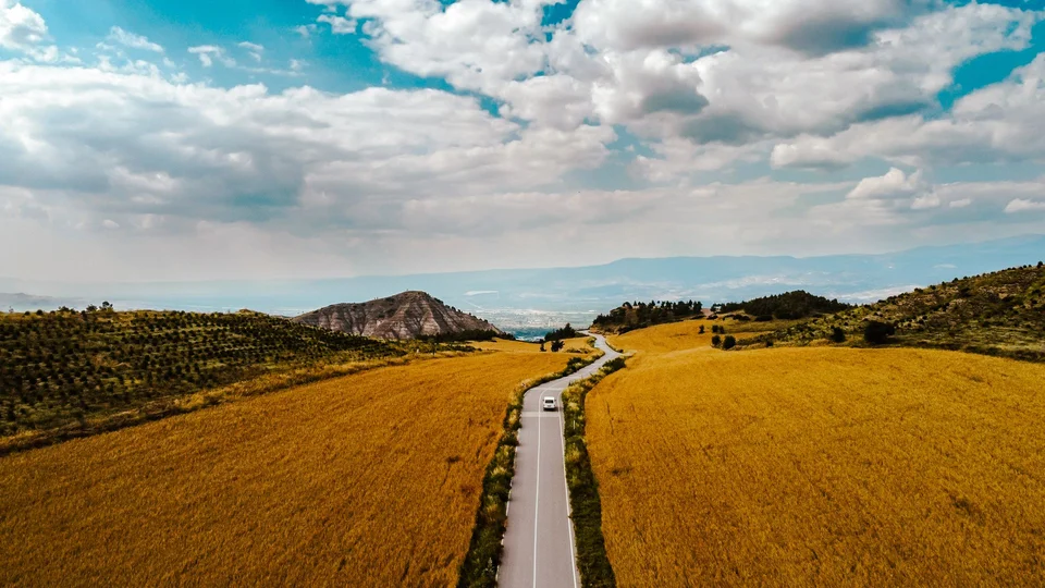 A narrow road running through golden fields towards the hills